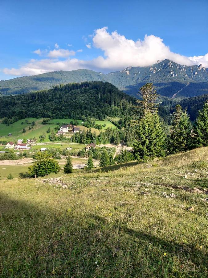 Hotel Casa Elena Ceahlău Zewnętrze zdjęcie