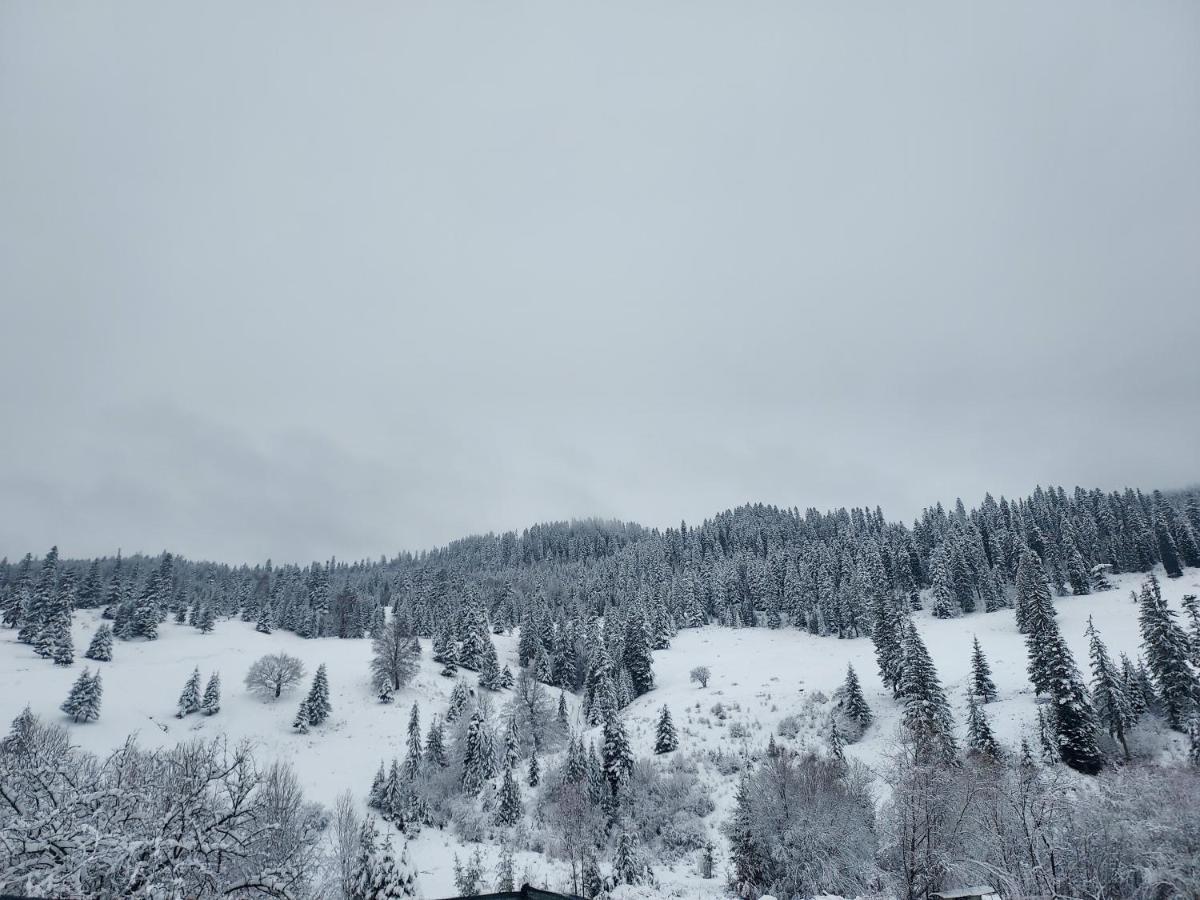 Hotel Casa Elena Ceahlău Zewnętrze zdjęcie